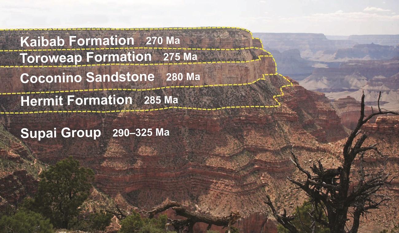 Picture of the Grand Canyon