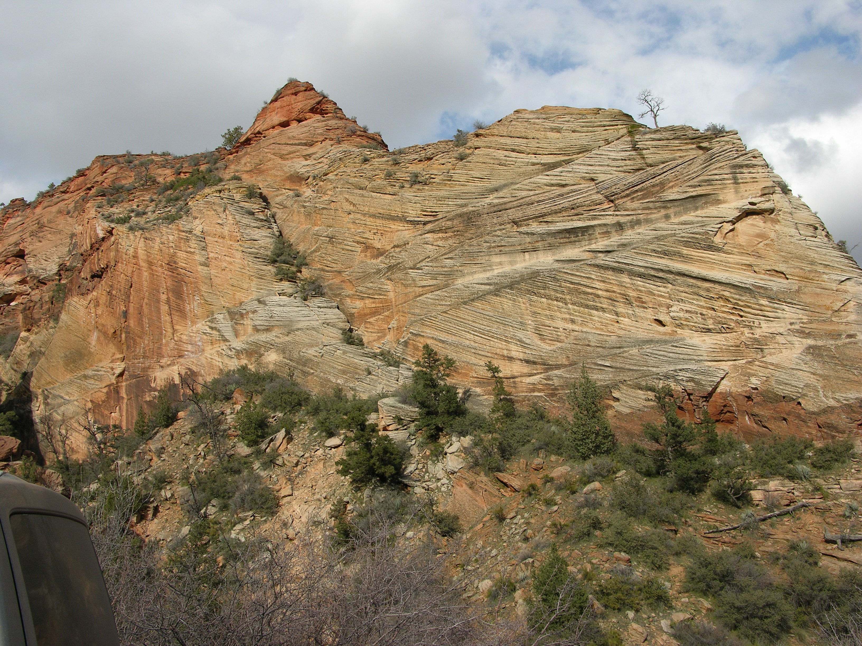 Cross-bedding of sandstone near Mt. Carmel road, Zion Canyon