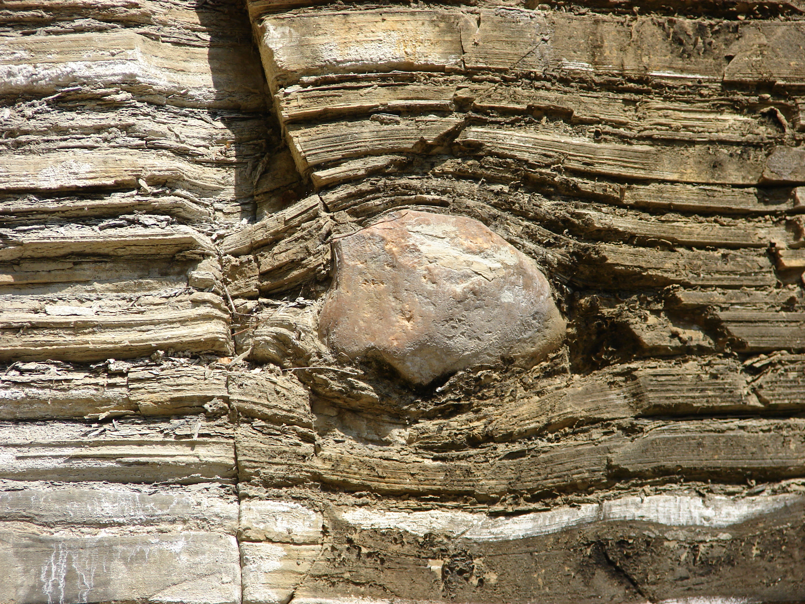 Dropstone in glaciomarine sediment