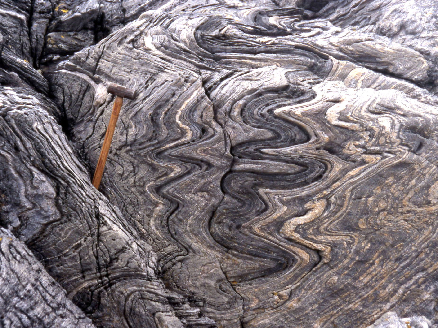 Folded Amphibolite Gneiss. Near Trondheim, Norway