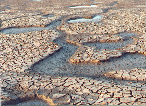 Mudcracks on the shore of The Wash, England