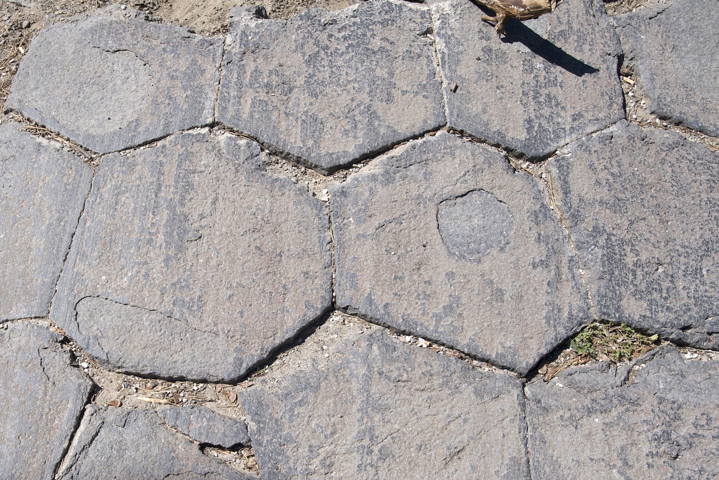 Glacially polished and striated bedrock, Yosemite National Park