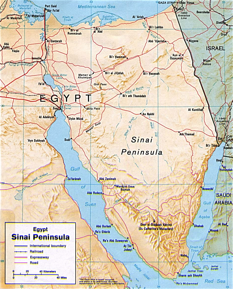 Sinai Desert Landscape