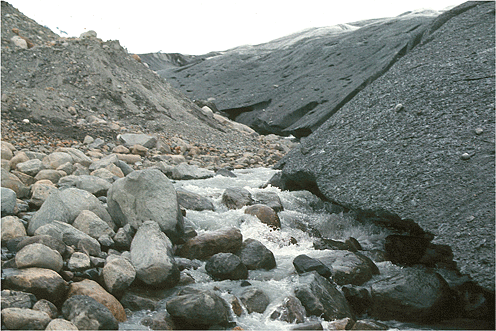 Glacial till at Glacier Bay National Park, Alaska.